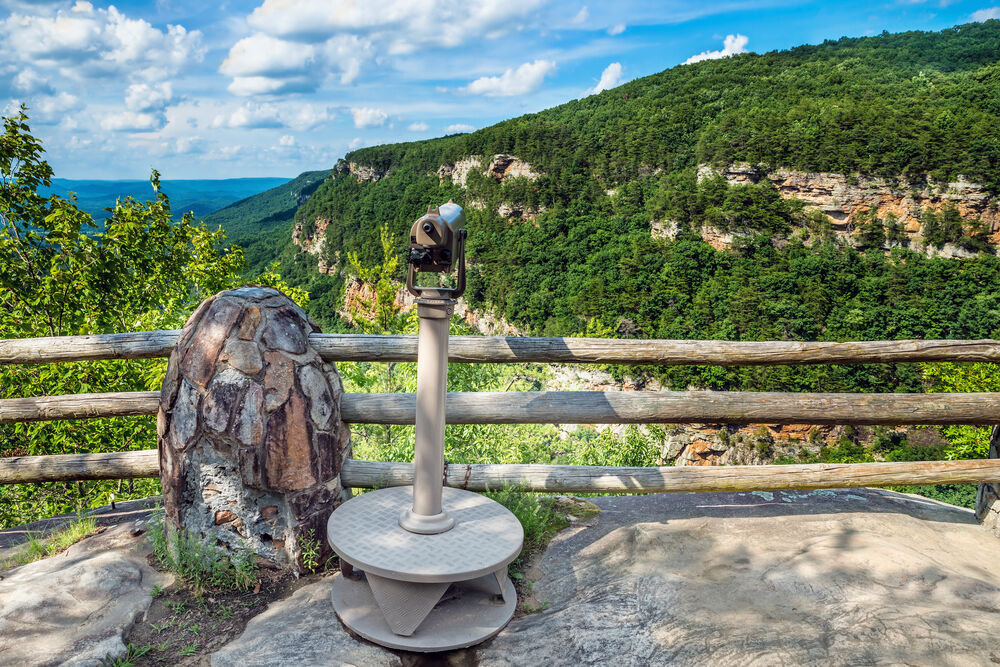 9. Georgia